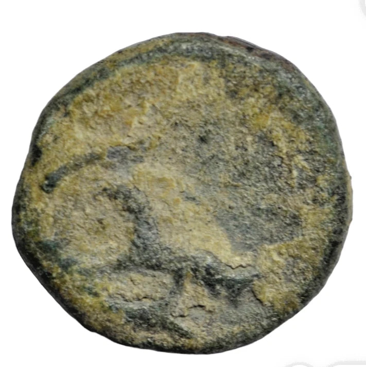 Greek, Crete, Lyttos, AE12 c. 250 BC, Eagle standing right, ethnic/Boar's head