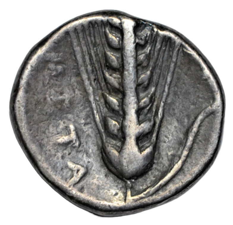 Greek, Lucania, Metapontum, AR nomos, c. 400-340 BC, Demeter grain ear