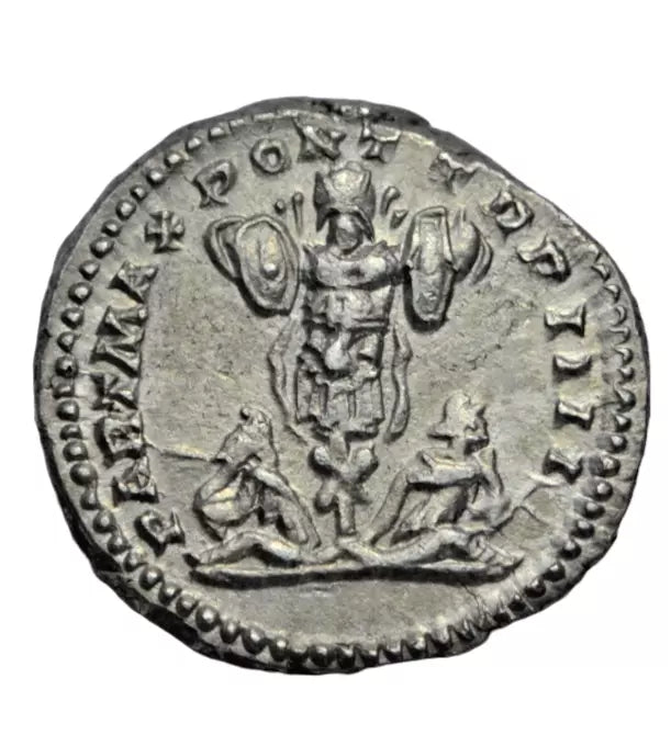 Roman Imperial, Caracalla as Caesar, AR denarius, Rome, 201 AD, trophy, ex-Little Busby hoard