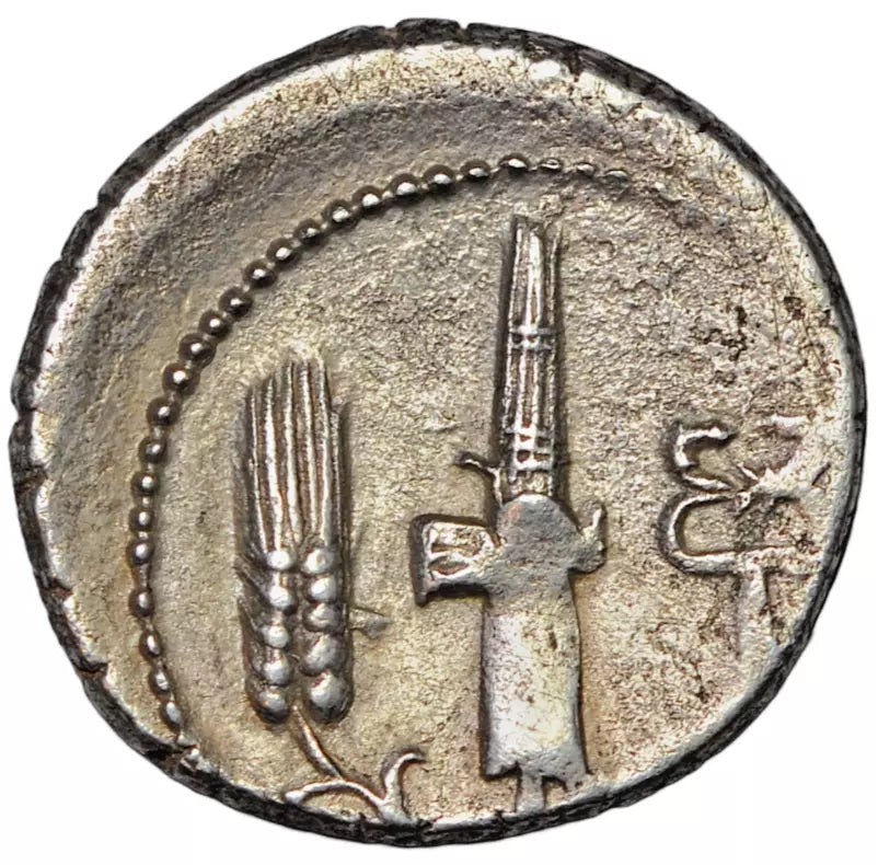Roman Republican, C. Norbanus, AR denarius, Rome 83 BC, Venus/corn ear, caduceus, fasces