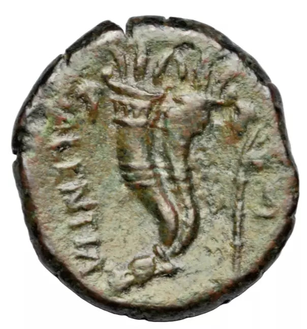 Greek, Bruttium, Vibo Valentia, AE semis, c. 193-150 BC, Hera/double cornucopia