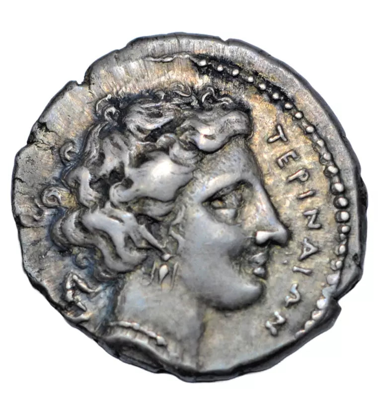 Greek, Bruttium, Terina, AR drachm, c. 400-356 BC, nymph, ex-Duke of Cajaniello