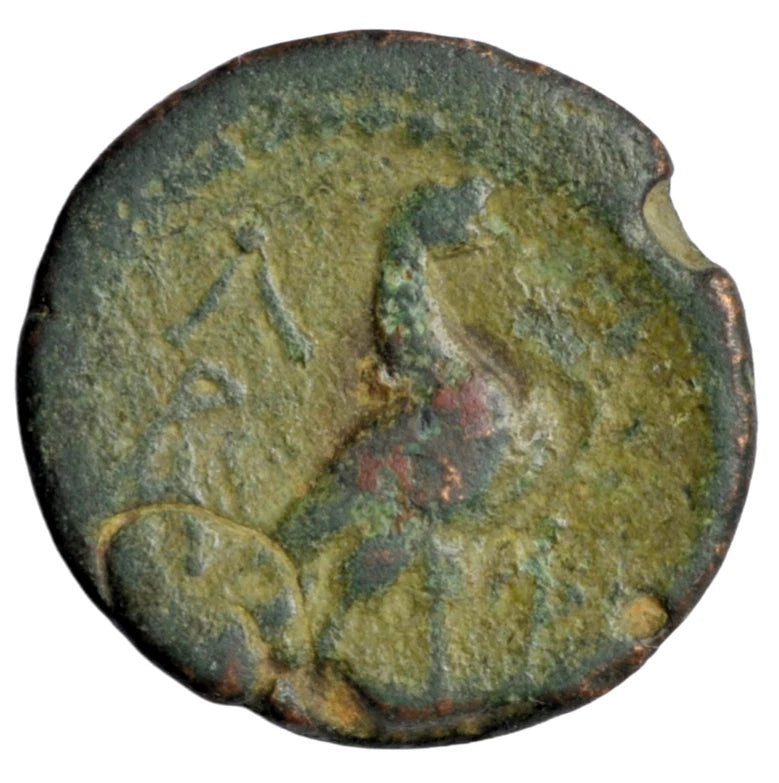 Greek, Laconia, Sparta (Lakedaimon), AE tetrachalkon c. 45-38 BC, Lakedaimon/Eagle