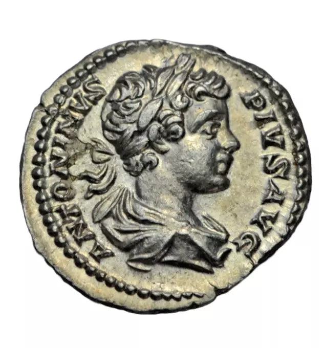 Roman Imperial, Caracalla as Caesar, AR denarius, Rome, 201 AD, trophy, ex-Little Busby hoard