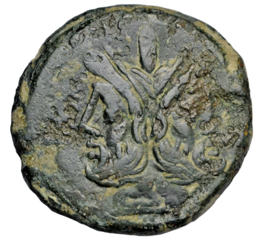 Roman Republic, Matienus, AE as c. 179-170 BC, Janus/Galley