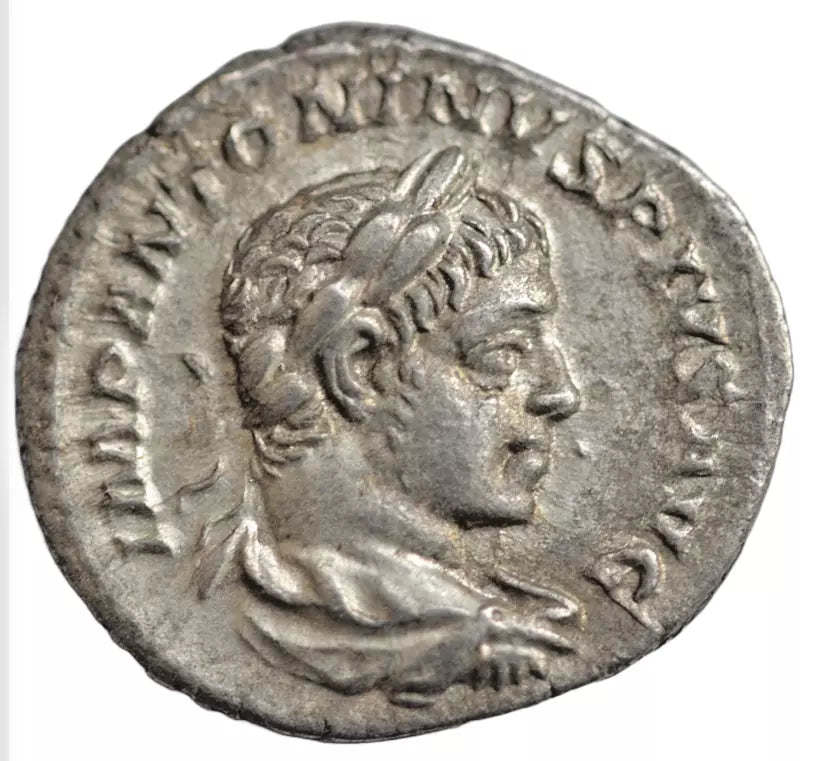 Roman Imperial, Elagabalus AR denarius, Rome 221 AD, Providentia, unpublished bust variant