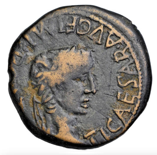 Roman Imperial, Tiberius, AE as of Turiaso (Tarazona, Spain) mint, bull standing right