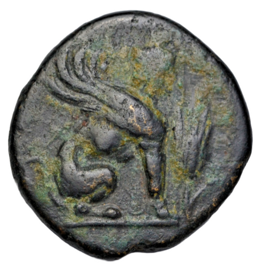 Greek, Islands off Ionia, Chios, AE18 c. 190-88 BC, Herostratos, sphinx/amphora