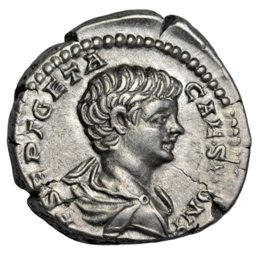 Roman Imperial, Geta, as Caesar, silver denarius, Rome, 203 AD, Castor with horse