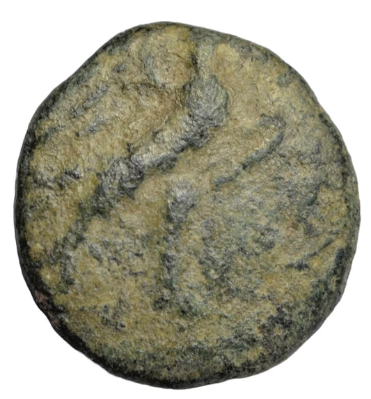 Greek, Crete, Lyttos, AE12 c. 250 BC, Eagle standing right, ethnic/Boar's head